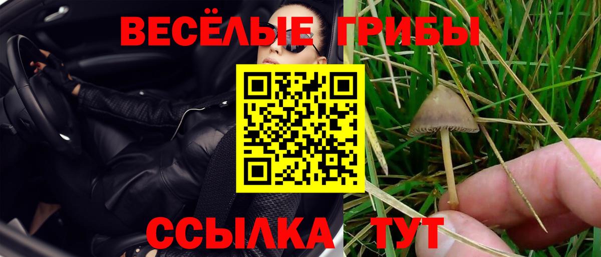 даркнет сайт  Галлюциногенные грибы Cubensis  Вход с VPN  Ялта 